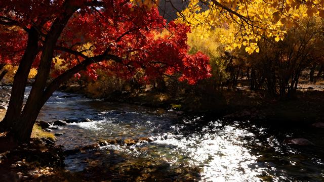 雁字裁云处，青城染就北疆最瑰丽的秋色长卷