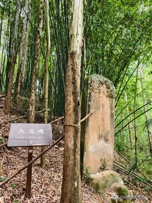 成都徒步（66）·邛崃篇⑥皮缝峡谷·皮缝古道