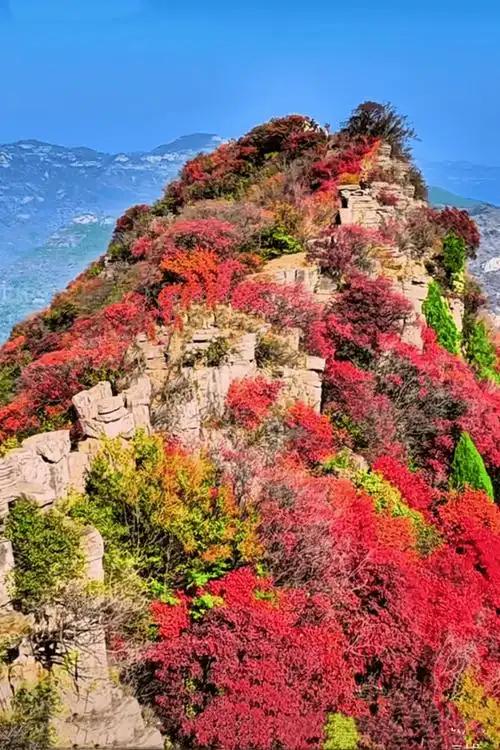 我是贵阳人，去了趟山东沂源，实在忍不住想说：沂源给我5点印象