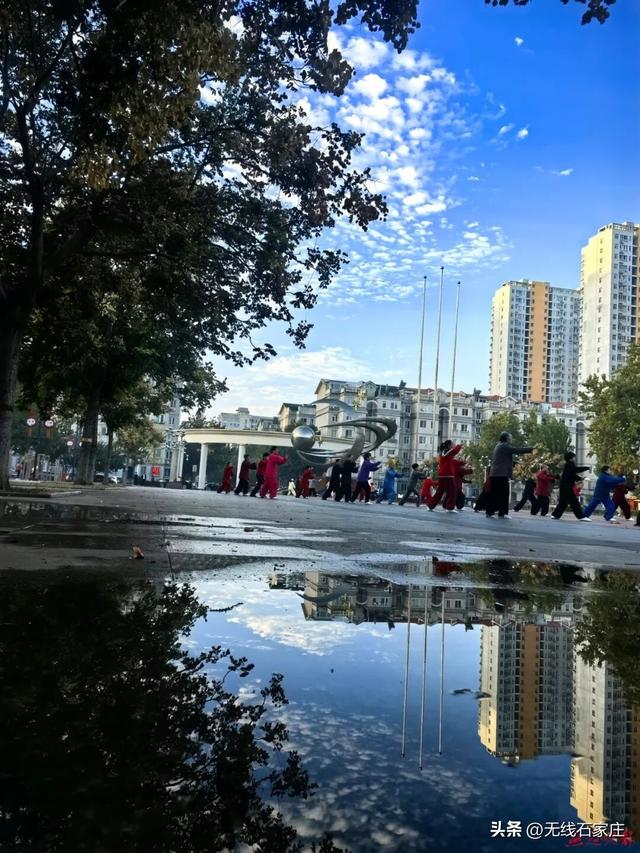 一树“灯笼”，点亮石家庄浪漫且壮美的秋天