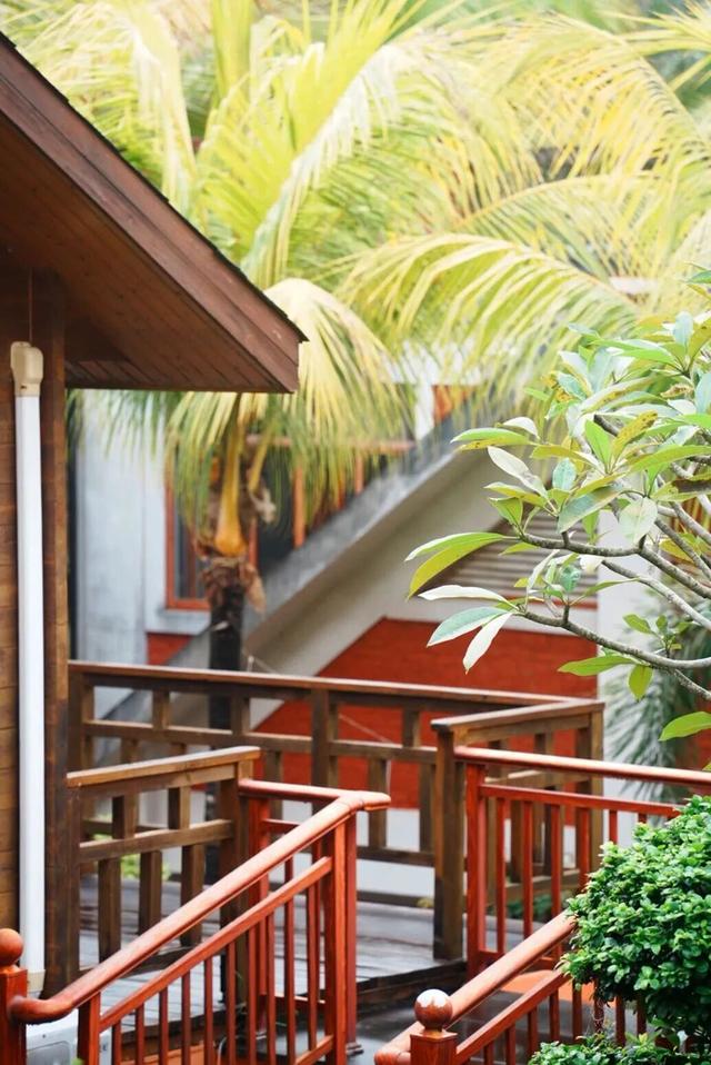 春节游万宁兴隆｜解锁热带归侨的暖冬年味！