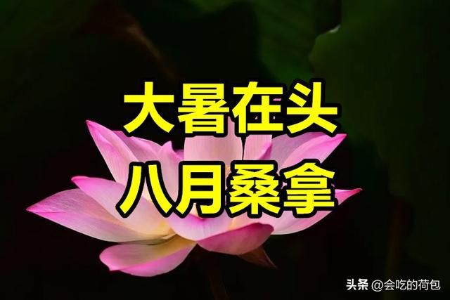 “大暑在头，八月桑拿；大暑在尾，八月穿袄”，今年的大暑在哪？