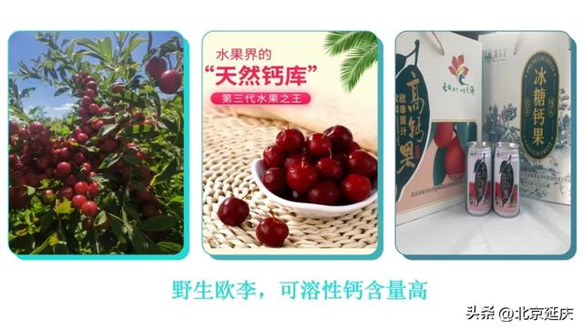 8大线路发布！GO~去延庆四季花海