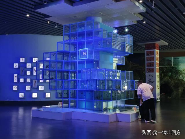 通化市自然博物馆