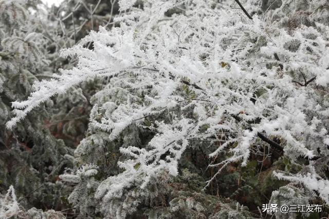 寒潮“炫技”成功！三江这地方浪漫值拉满