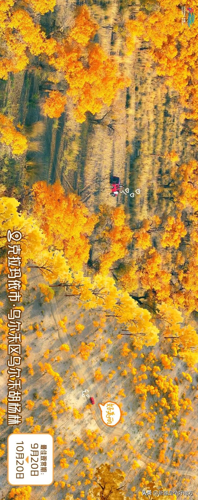 新疆赏胡杨最全攻略