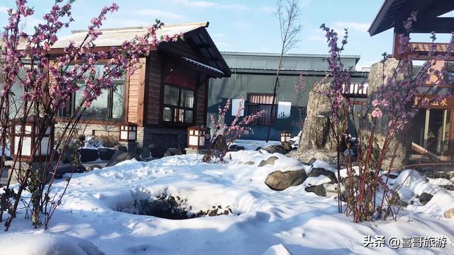 邂逅北国温泉，开启梦幻康养之旅