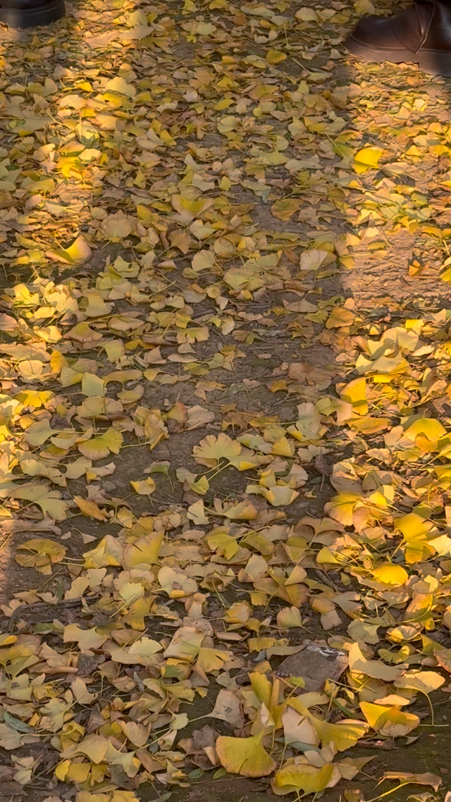 长治的金秋，何处最美？