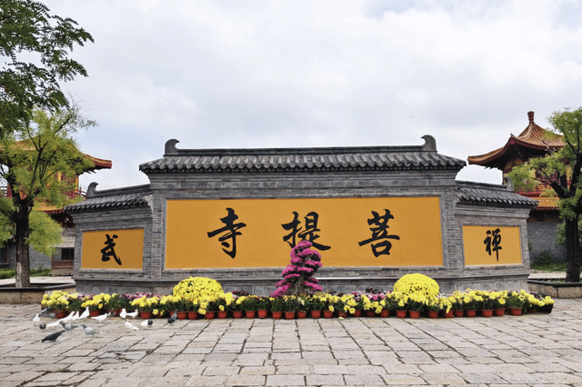 【金秋盛宴】国庆相约台儿庄古城，菊花展即将惊艳绽放！