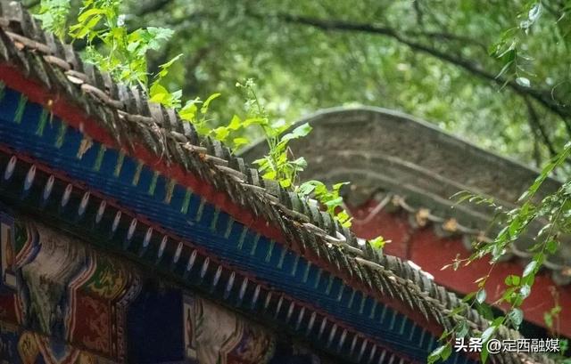 雨润临洮，秋光满故城