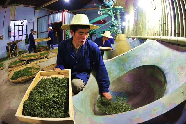 桐柏县禺峰茶园民宿:寻觅山野清凉与茶香雅韵