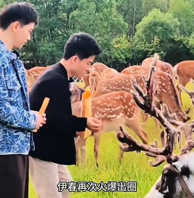 循声而至、点亮山河：一场由董宇辉引领的心灵归乡之旅