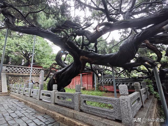 徒步登泰山之四—终章——冒雨徒步下山补看泰山关帝庙