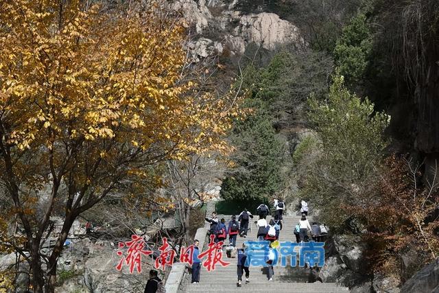 山河为证，团结筑梦！临夏武隆青少年赴泰山研学促交流