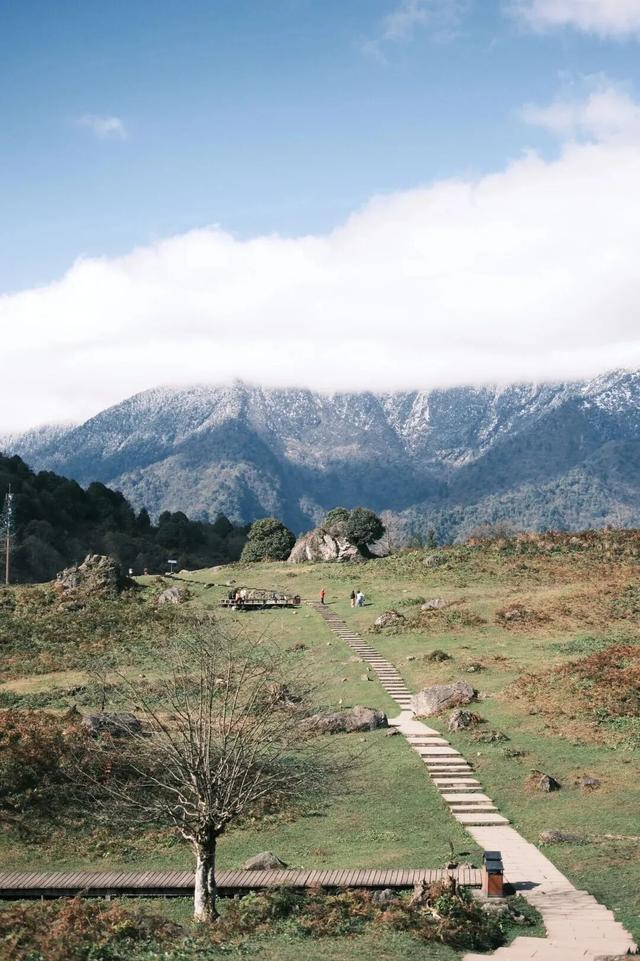 秋天还没过够？那就去乐山留住秋天！