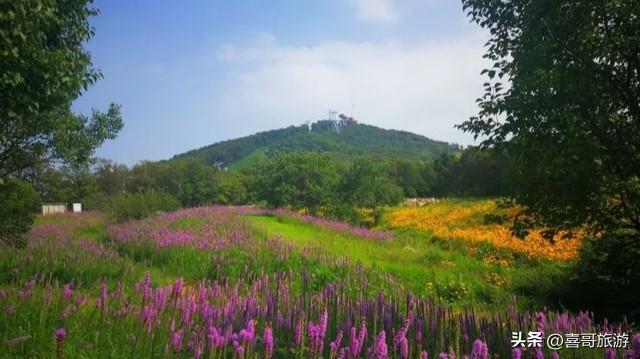 长春周边冰雪仙境！海拔近500米生态覆盖率87%，曾是皇家避暑圣地