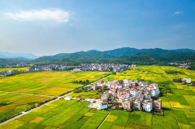 秋日限定！速来围观肇庆的绝美风光~