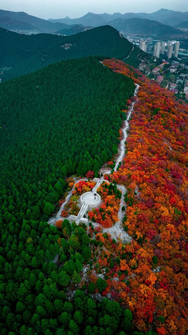 新华社聚焦+国家地理推荐！济南蝎子山“鸳鸯锅”秋景太惊艳了！