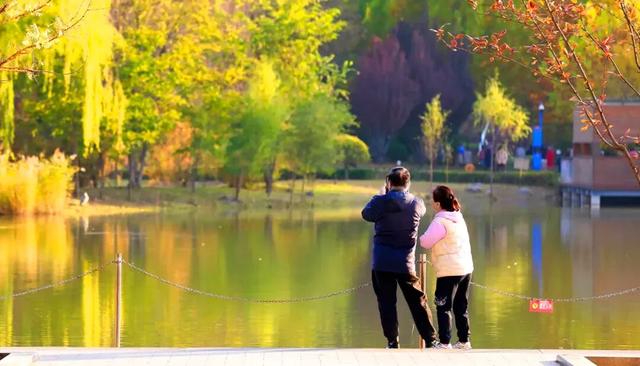 赏“秋”正当时！来太原这个公园遇见最美秋日