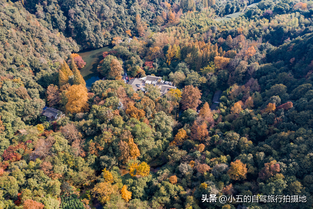 杭州秋季疯了！6大景点+3天2夜暴走攻略，错过等一年！