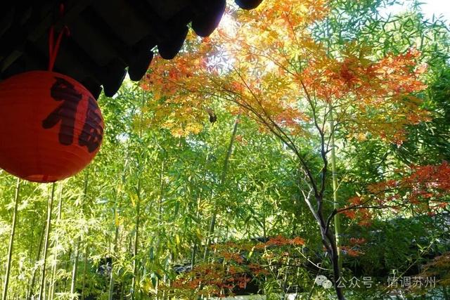 苏州胥江边这个宝藏“大公园”，超好逛！