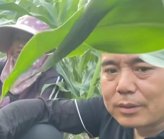 泪目！河北两夫妻夜晚田里浇地，休息时妻子突然发现丈夫不见了！