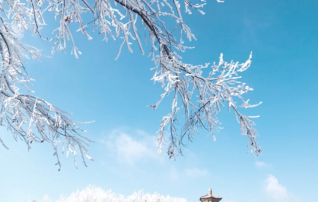 “上午小雪冻死牛；下午小雪暖烘烘”，今年小雪在几点？有啥预兆