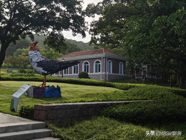 来青岛数十年，竟错过这里！
