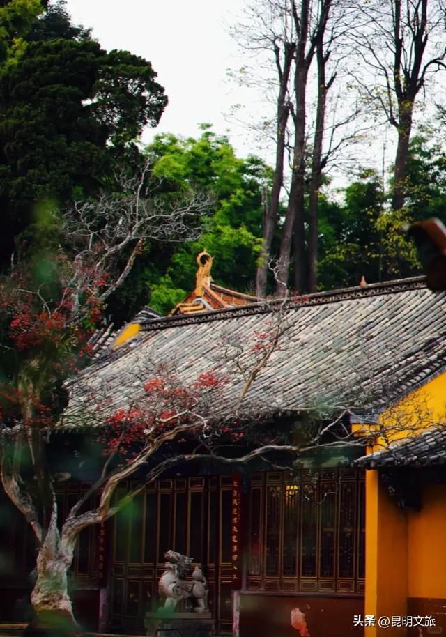 初冬氛围感出片计划，走起！昆明这份打卡攻略速速收藏→