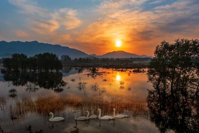 燕谷犹在，秋意正浓：李白诗里的舞彩浅山什么样？