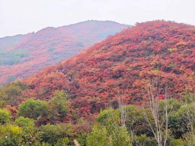 许昌人，这两天请抓紧时间出门