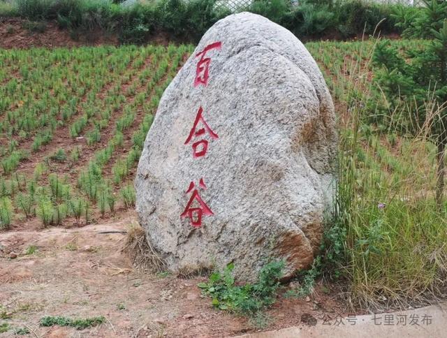 七里河“天然空调房”大公开！周末就去这些地方躲高温