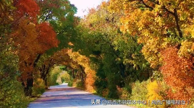 【镜头里的鸡西】鸡西这些“勾魂”美景，美到窒息！你打卡过几个？