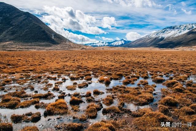 西藏嘎朗湿地：藏东南的隐秘莲花