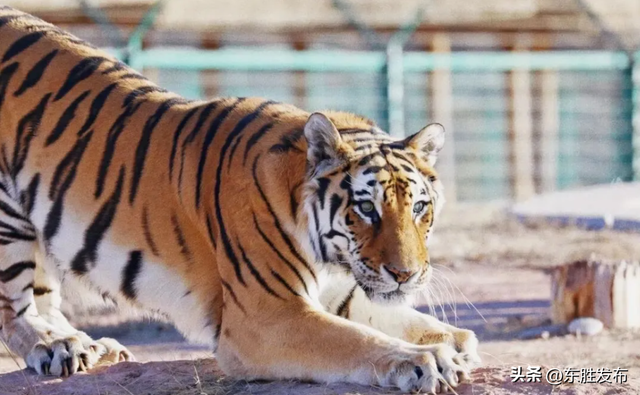 速来！半价特惠！