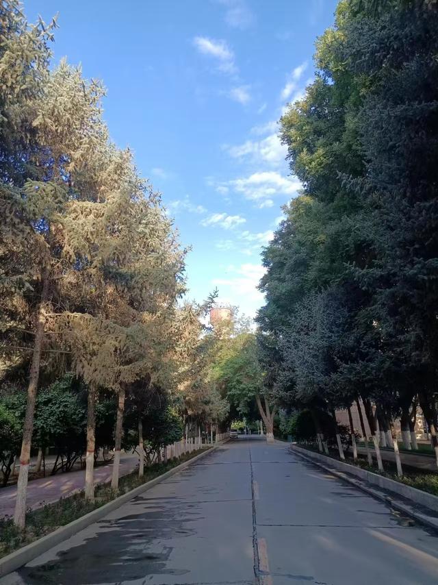 又踏甘肃地之十六 张掖篇之十四 河西学院（1）