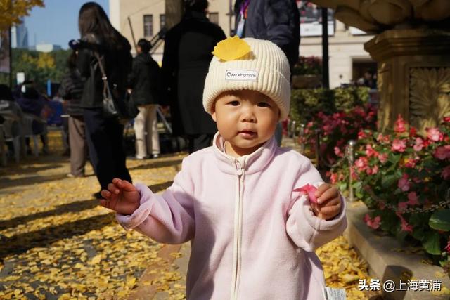 市中心的“金色会客厅”，成为了最欢乐的海洋！