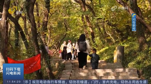 层林尽染！在抱犊崮的红叶“画廊”里攀岩漫步