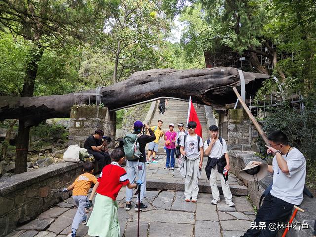 徒步登泰山之一——3小时从一天门到中天门