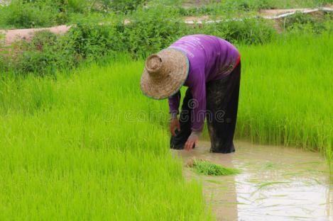 漂亮女邻居老公常年出差，她家灯泡总坏，每次都喊我去修