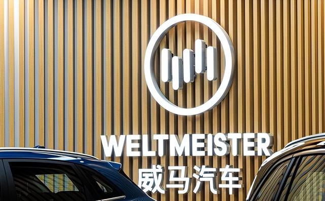 一夜负债200亿？电动车巨头轰然倒塌：终于活成贾跃亭信徒