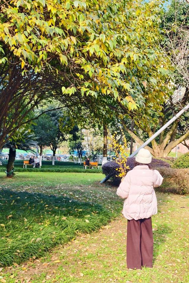 花漾邛州｜“蜡”么香，“蜡”么美！