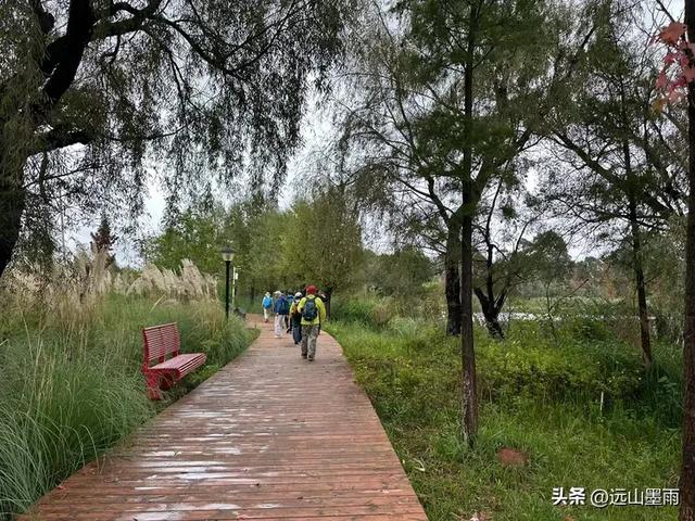 假日徒步，走昆明滇池草海之开合浮桥、雨中打卡新晋网红地，休闲