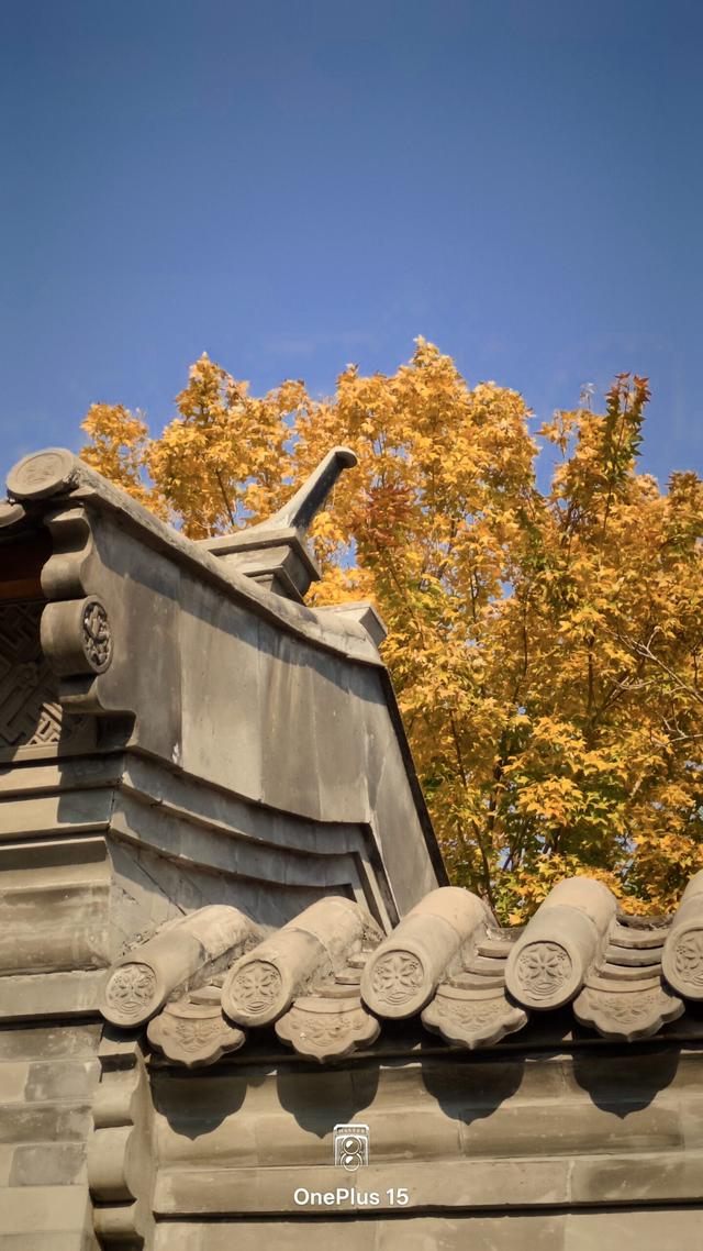 一加15体验：影摄北纬39度线的城市之秋