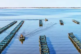 镇赉县的小螃蟹“唤醒”盐碱地图片