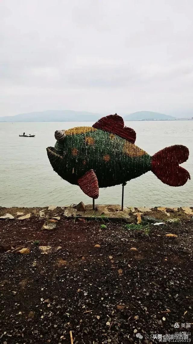 浙江这个山海古村,处在网红风景线上,丛林秘境中藏着一片花海