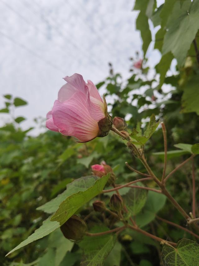 徒步穿越西流湖，赏秋正当时