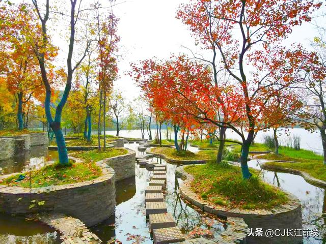 河南淮滨：金秋走读淮河展秀美