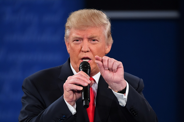 特朗普表态后，荷兰随即行动！对华举措引关注，800亿生意或受影响？