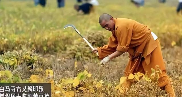 果然没猜错，少林寺新方丈实行新规后，知情人爆料已有30多人离职